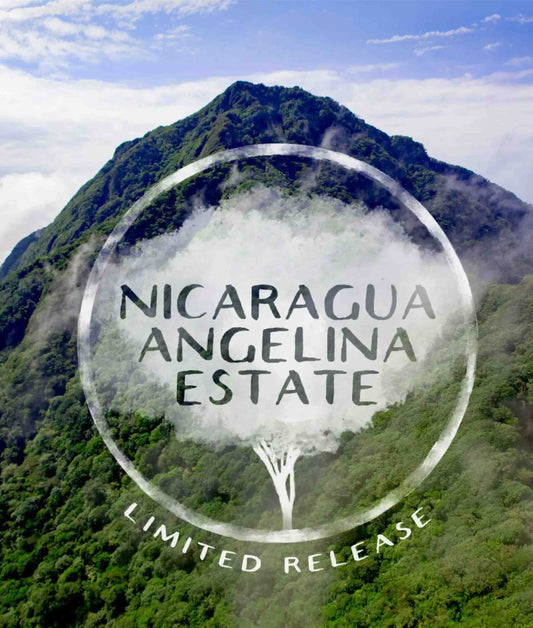 Mountainous landscape with 'Nicaragua Angelina Estate' text overlay