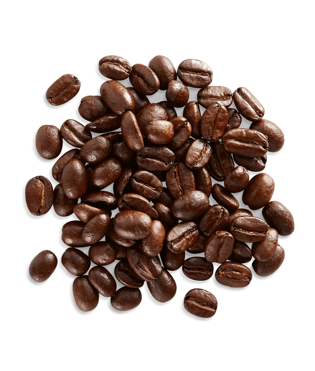 Peet's Ethiopian Fancy Coffee beans shown up close with detail