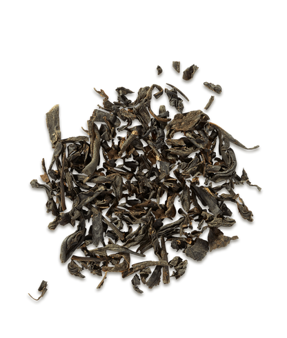 Dry black tea leaves on a white background