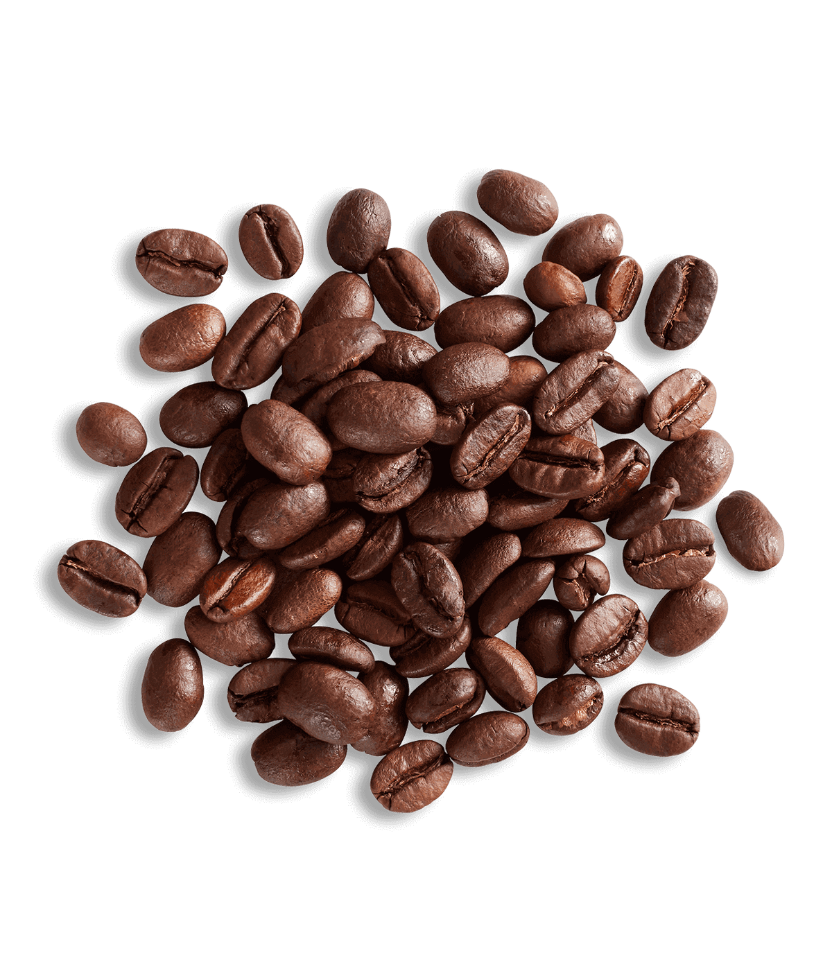 Peet's Vine & Walnut Autumn 2023 Coffee beans shown up close with detail